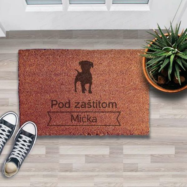 1.jpg – копија poklon