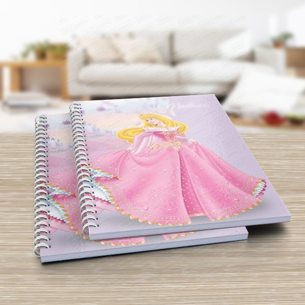 SVE0163 Sleeping Beauty Gift School Book poklon